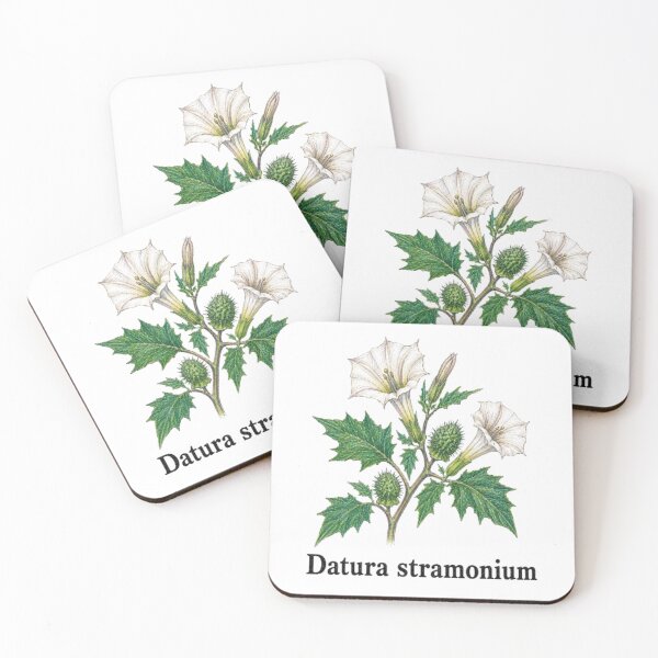 Item preview, Datura stramonium – Stramonium designed and sold by JOANNASKAH.