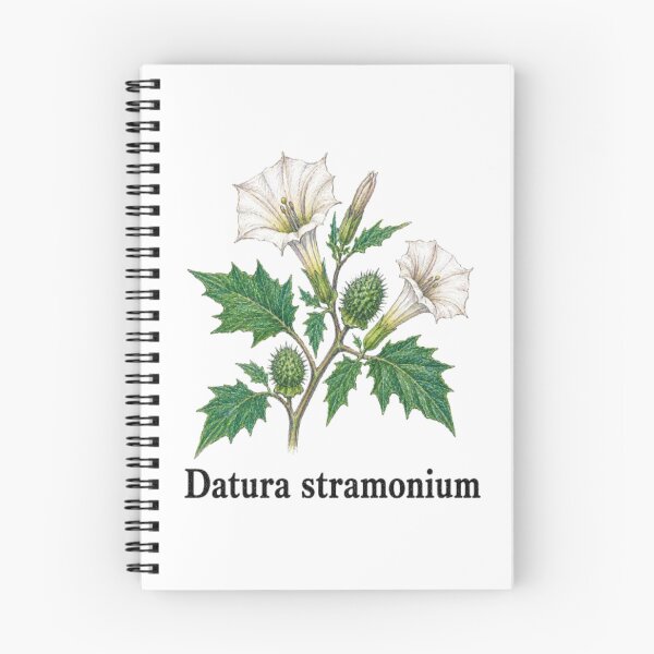 Item preview, Datura stramonium – Stramonium designed and sold by JOANNASKAH.