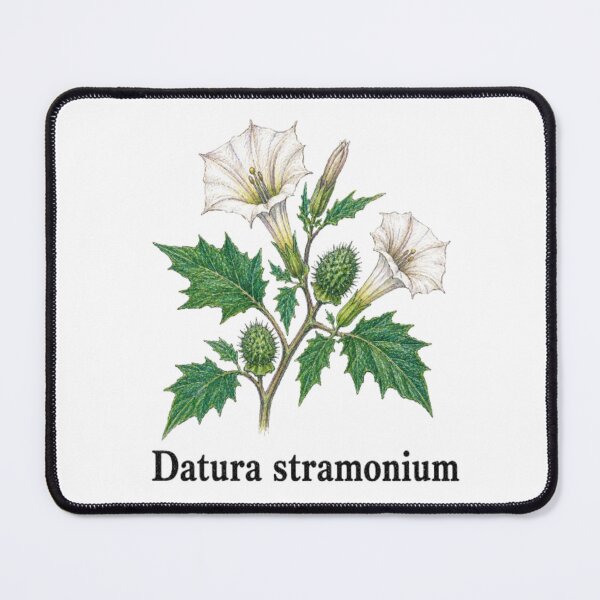 Item preview, Datura stramonium – Stramonium designed and sold by JOANNASKAH.