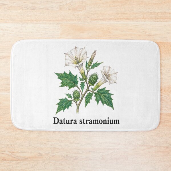 Item preview, Datura stramonium – Stramonium designed and sold by JOANNASKAH.