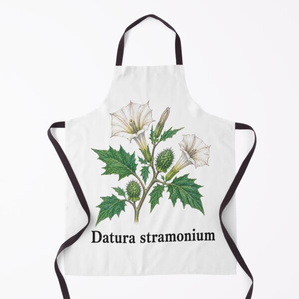 Item preview, Datura stramonium – Stramonium designed and sold by JOANNASKAH.