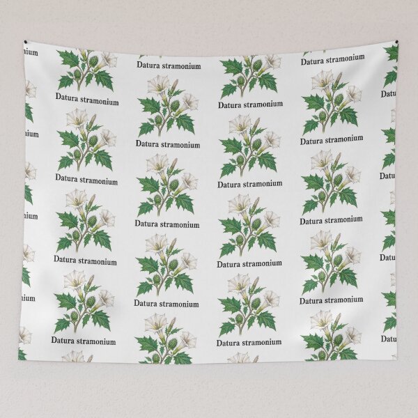 Item preview, Datura stramonium – Stramonium designed and sold by JOANNASKAH.