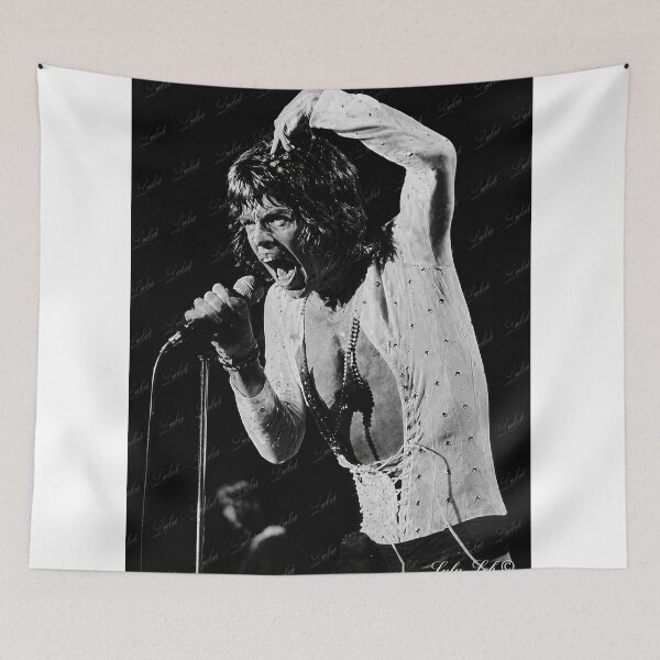 Item preview, Mick Jagger 1972 Concert Photo designed and sold by LuluLeb.