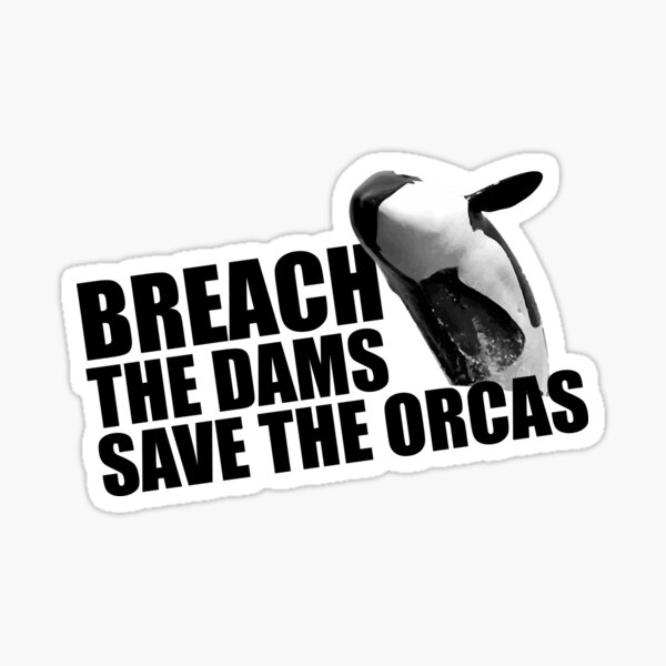 Item preview, BREACH THE DAMS SAVE THE ORCAS designed and sold by onlycooltshirts.