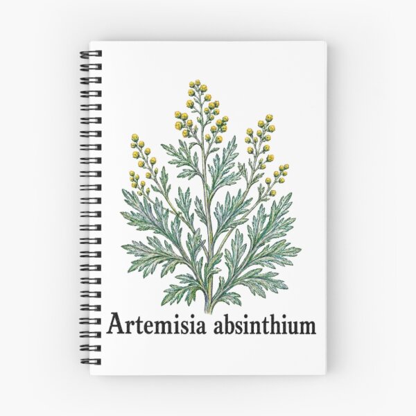 Item preview, Artemisia absinthium – Great wormwood designed and sold by JOANNASKAH.