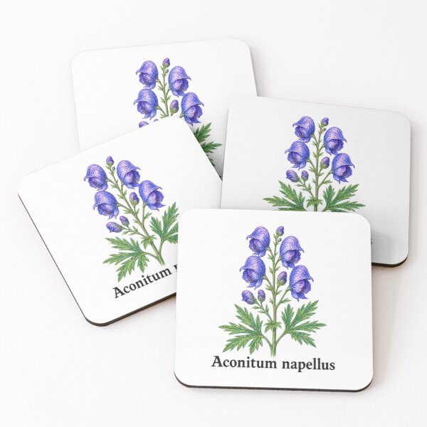 Item preview, Aconitum napellus – Botanical pencil illustration - Witchy herbarium designed and sold by JOANNASKAH.