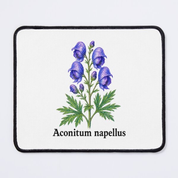 Item preview, Aconitum napellus – Botanical pencil illustration - Witchy herbarium designed and sold by JOANNASKAH.