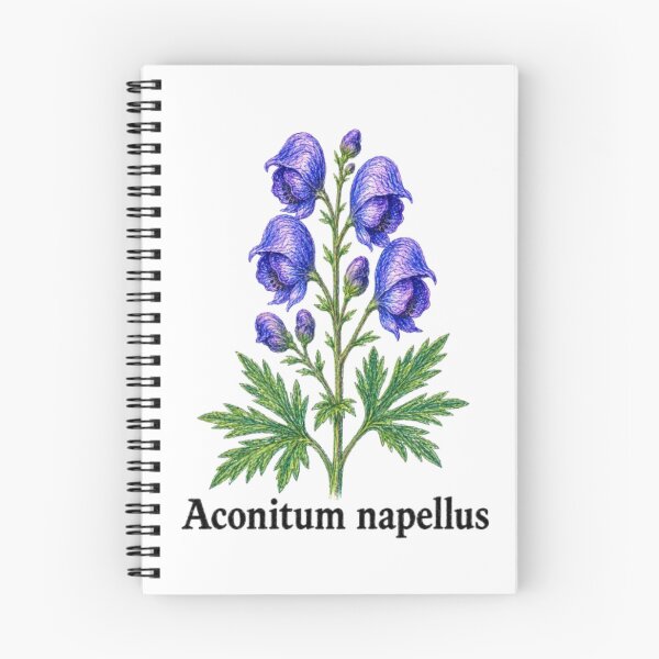 Item preview, Aconitum napellus – Botanical pencil illustration - Witchy herbarium designed and sold by JOANNASKAH.