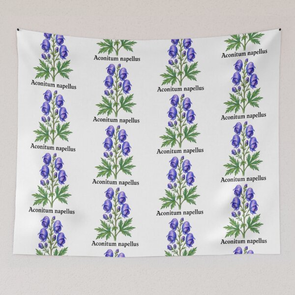 Item preview, Aconitum napellus – Botanical pencil illustration - Witchy herbarium designed and sold by JOANNASKAH.