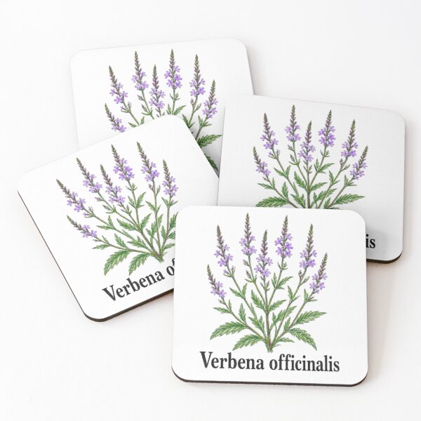 Item preview, Common Vervain – Magical Botanical Illustration - Witchy Herbarium designed and sold by JOANNASKAH.