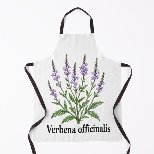 Item preview, Common Vervain – Magical Botanical Illustration - Witchy Herbarium designed and sold by JOANNASKAH.