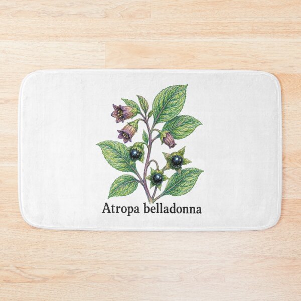 Item preview, Atropa belladonna – Gothic botanical illustration - Witchy herbarium designed and sold by JOANNASKAH.