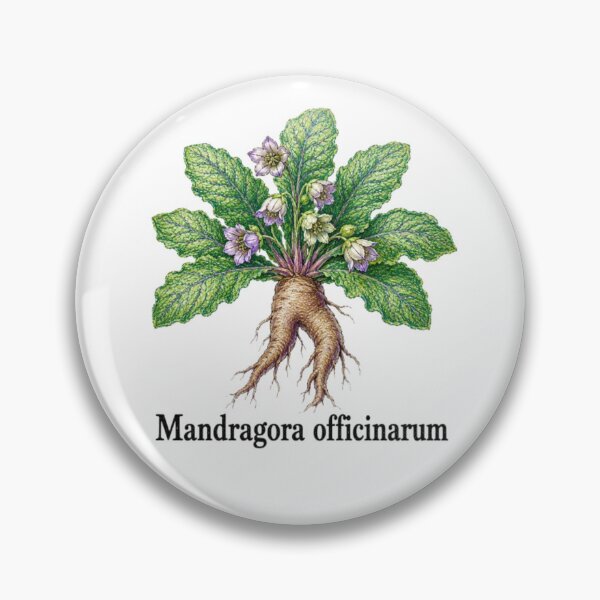 Item preview, Mandragora officinarum – Mandragora designed and sold by JOANNASKAH.