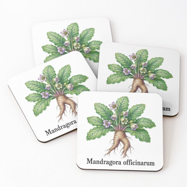 Item preview, Mandragora officinarum – Mandragora designed and sold by JOANNASKAH.