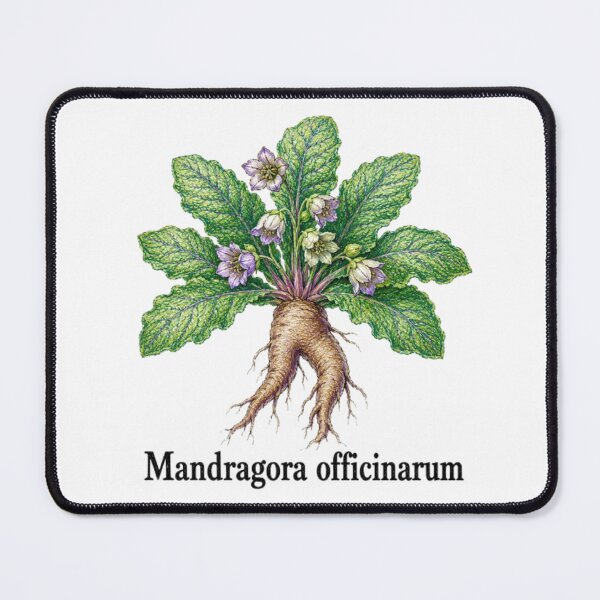 Item preview, Mandragora officinarum – Mandragora designed and sold by JOANNASKAH.