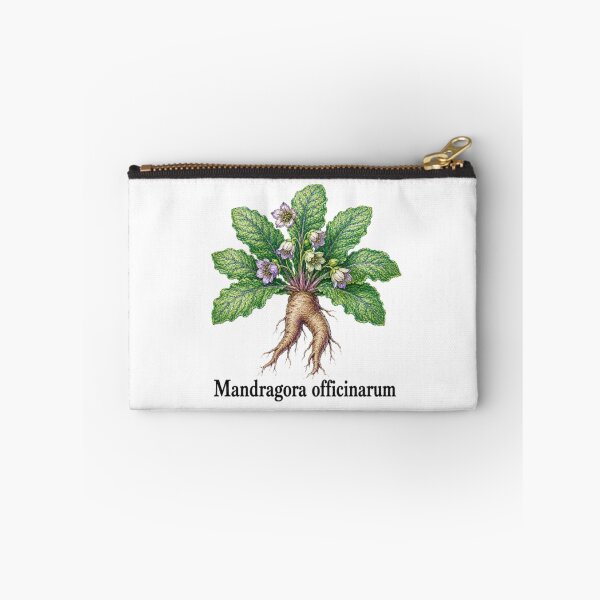 Item preview, Mandragora officinarum – Mandragora designed and sold by JOANNASKAH.