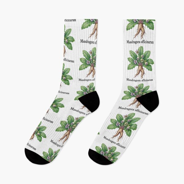 Item preview, Mandragora officinarum – Mandragora designed and sold by JOANNASKAH.