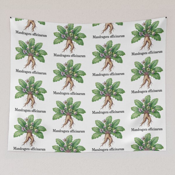 Item preview, Mandragora officinarum – Mandragora designed and sold by JOANNASKAH.