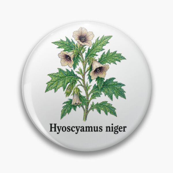 Item preview, Hyoscyamus niger – Black Henbane designed and sold by JOANNASKAH.