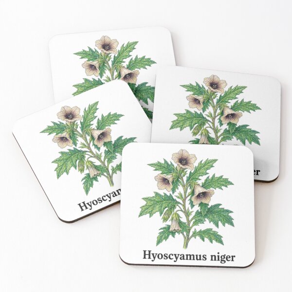 Item preview, Hyoscyamus niger – Black Henbane designed and sold by JOANNASKAH.