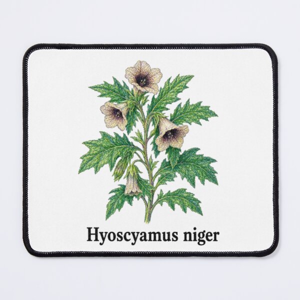 Item preview, Hyoscyamus niger – Black Henbane designed and sold by JOANNASKAH.