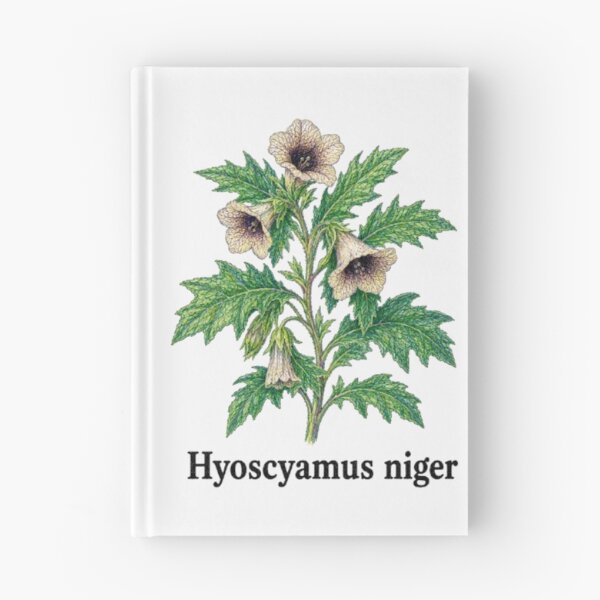 Item preview, Hyoscyamus niger – Black Henbane designed and sold by JOANNASKAH.