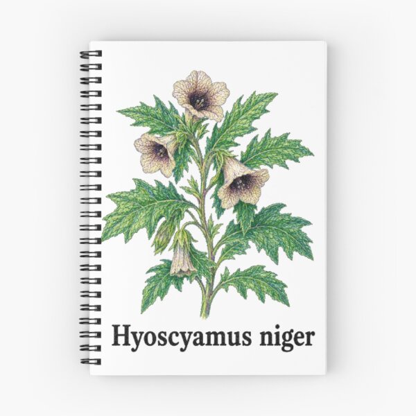 Item preview, Hyoscyamus niger – Black Henbane designed and sold by JOANNASKAH.