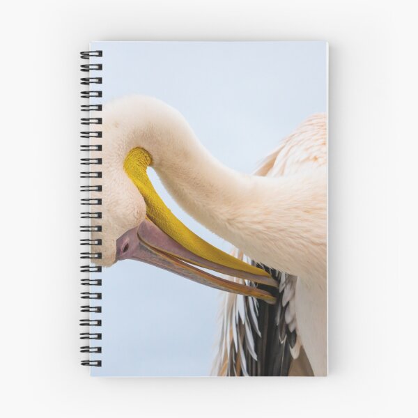 Item preview, Pelican. designed and sold by Anne Scantlebury.