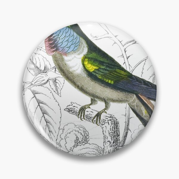 Item preview, The Evening Humming-Bird — Plate XXIV designed and sold by the-forum.