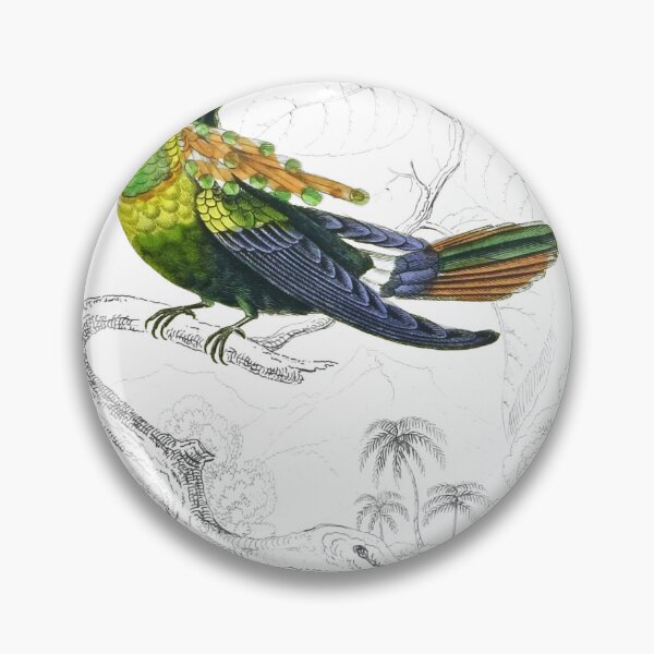 Item preview, The Tufted-Necked Humming-Bird — Plate XV designed and sold by the-forum.