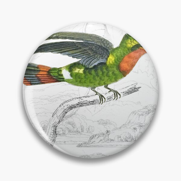 Item preview, The Tufted-Necked Humming-Bird — Plate XVI designed and sold by the-forum.