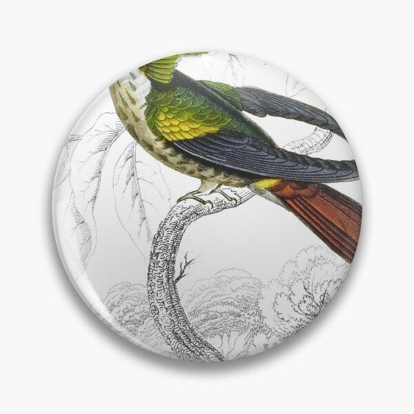 Item preview, Vieillot’s Humming-Bird — Plate XVIII designed and sold by the-forum.