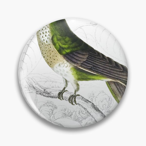 Item preview, Violet-Crowned Humming-Bird — Plate XII designed and sold by the-forum.