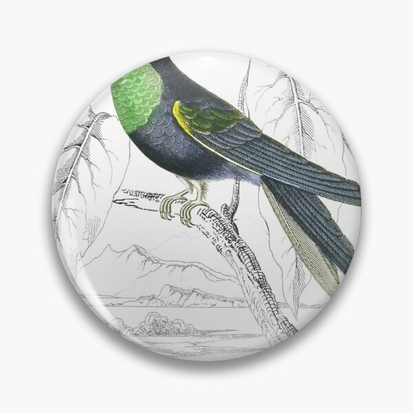 Item preview, Violet Fork-Tailed Humming-Bird — Plate XXIII designed and sold by the-forum.