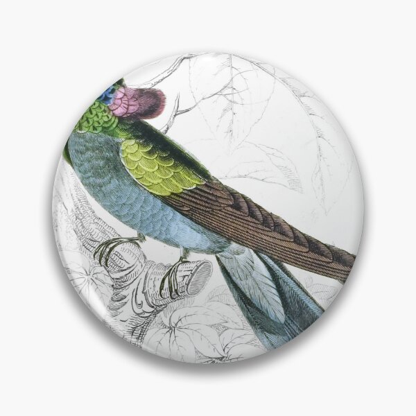 Item preview, Violet-Tufted Humming-Bird — Plate XIII designed and sold by the-forum.