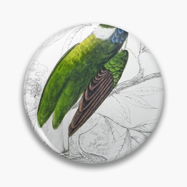 Item preview, White-Collared Humming-Bird — Plate XXX designed and sold by the-forum.