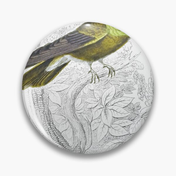 Item preview, White-Eared Humming-Bird — Plate XXIX designed and sold by the-forum.