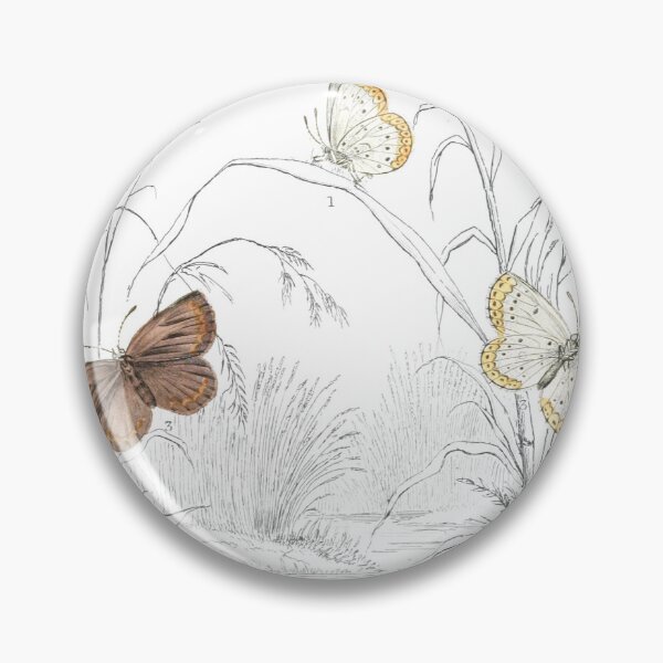Item preview, Artaxerxes Butterfly — Plate XXXIV designed and sold by the-forum.