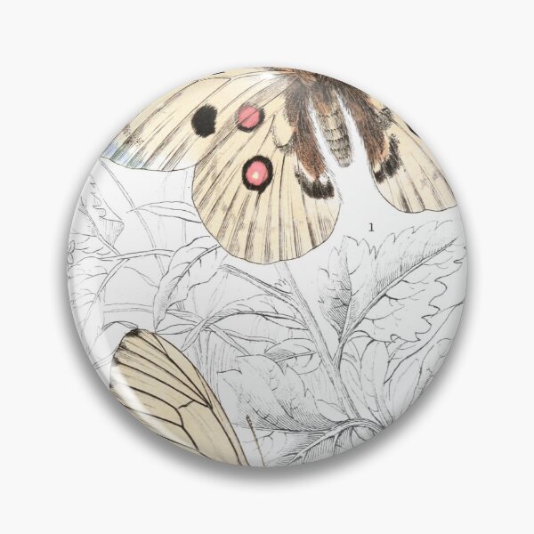 Item preview, Black-Veined White, or Hawthorn Butterfly — Plate XI designed and sold by the-forum.