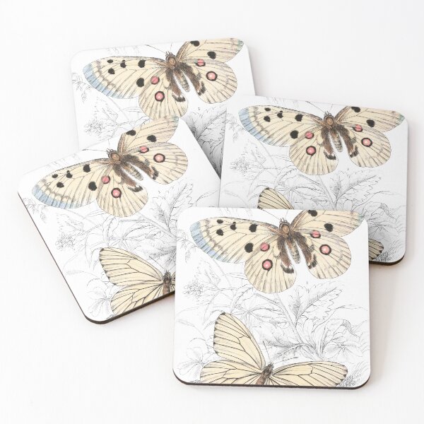 Artikelvorschau, Black-Veined White, or Hawthorn Butterfly — Plate XI entworfen und verkauft von the-forum.