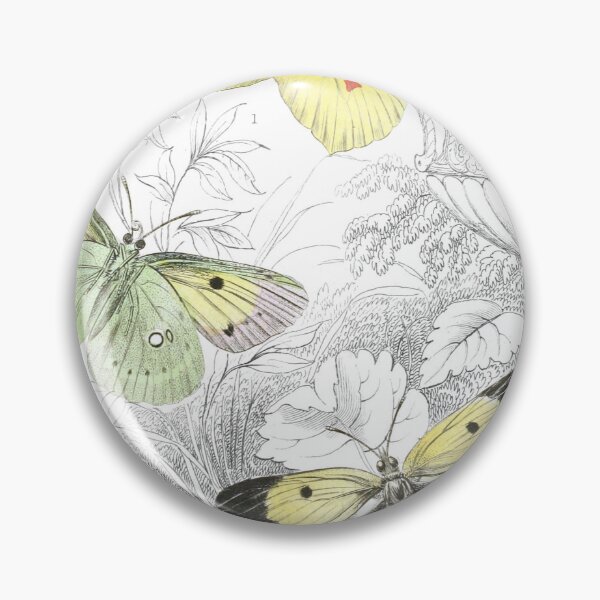 Item preview, Clouded Yellow Butterfly — Plate V designed and sold by the-forum.