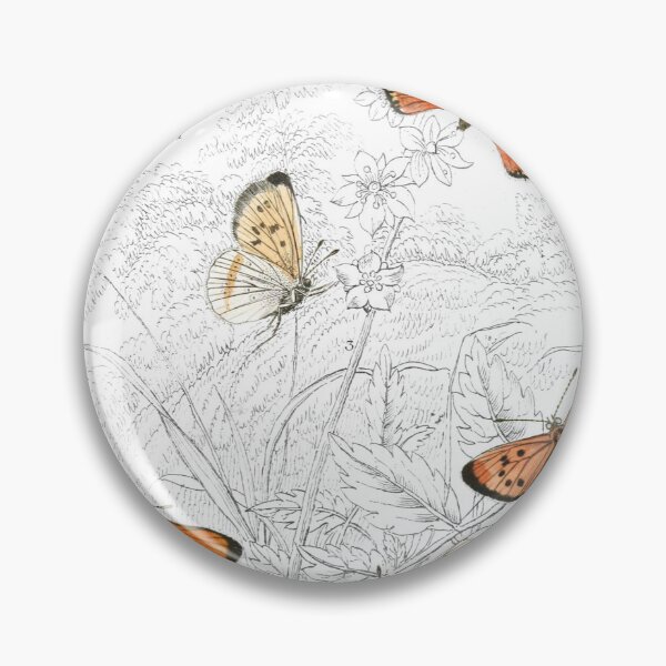 Item preview, Common Copper — Plate XXX designed and sold by the-forum.