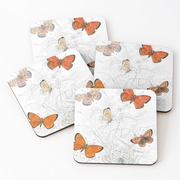 Item preview, Common Copper — Plate XXX designed and sold by the-forum.