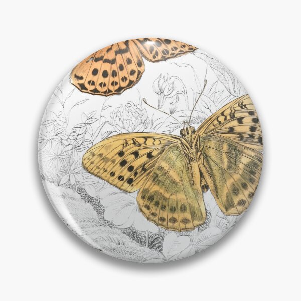 Item preview, Glanville Fritillary — Plate XIV designed and sold by the-forum.