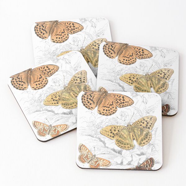 Item preview, Glanville Fritillary — Plate XIV designed and sold by the-forum.