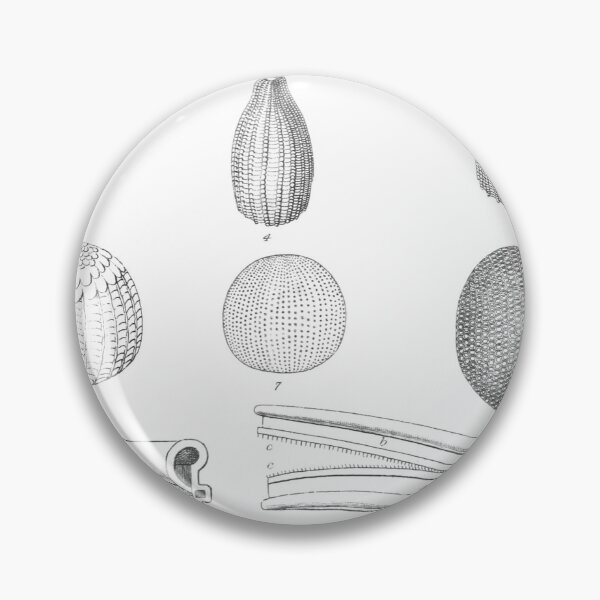 Item preview, Introduction — Plate I designed and sold by the-forum.