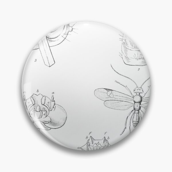 Item preview, Introduction — Plate II designed and sold by the-forum.