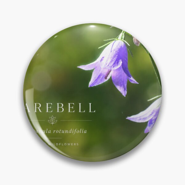 Item preview, Harebell Poster Ontario Wildflower Series designed and sold by greatlakesimage.