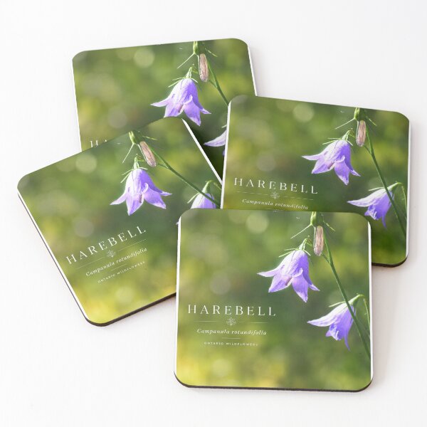 Item preview, Harebell Poster Ontario Wildflower Series designed and sold by greatlakesimage.