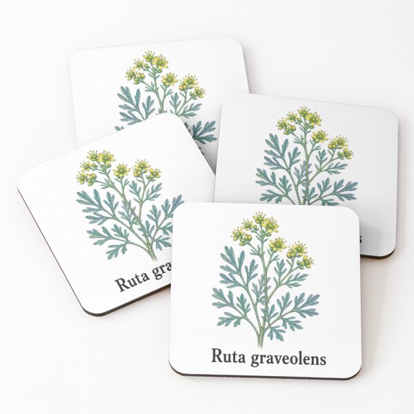 Item preview, Ruta graveolens – Officinal street designed and sold by JOANNASKAH.